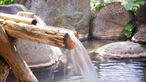 Natuurlandschap vlak bij de ryokan