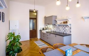 Virtuvė arba virtuvėlė apgyvendinimo įstaigoje Harry Potter's apartment in Prague center