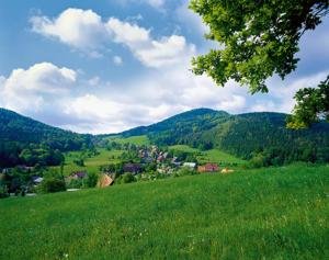 a green hillside with a town in the middle of a field at Hubertusbaude in Waltersdorf