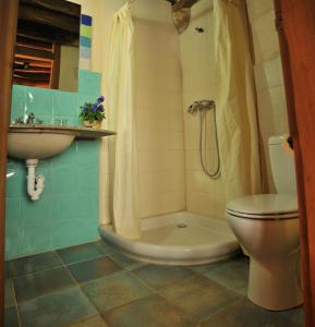 ein Bad mit einem WC, einem Waschbecken und einer Dusche in der Unterkunft Casa Rural Ecológica Kaaño Etxea in Arrarats