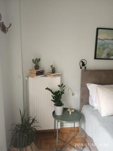 Foto dalla galleria di Charming Apartment a Salonicco