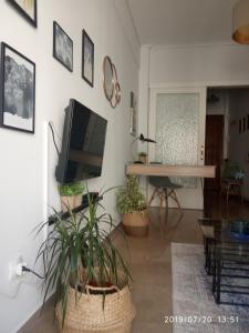 Fotografia z galérie ubytovania Charming Apartment v Solúne