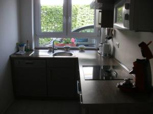 une cuisine avec un évier et une fenêtre dans l'établissement roggele bei beck, à Stetten