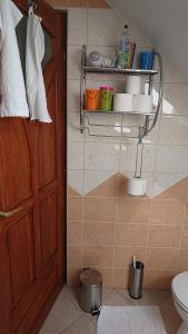 a bathroom with a toilet and a wooden door at Ágnes Apartman in Kaposvár