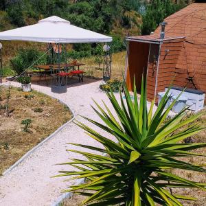 un patio con una mesa, una sombrilla y una planta en vale das cupulas, en Figueiró dos Vinhos