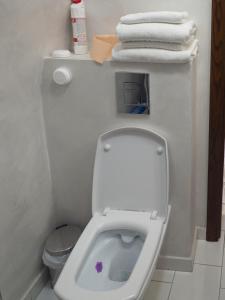 een kleine badkamer met een wit toilet en handdoeken bovenop bij Gothic Central Sibiu in Sibiu +10 foto's