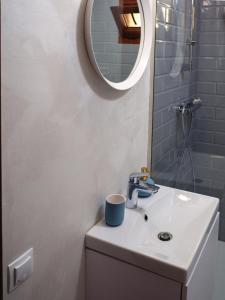 een badkamer met een wastafel en een spiegel bij Gothic Central Sibiu in Sibiu