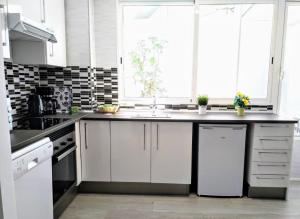 Kuchyň nebo kuchyňský kout v ubytování Islas Canarias Apartment