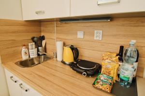 Galeriebild der Unterkunft APARTHOTEL VÍTKOVICE in Ostrava