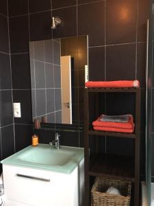 een badkamer met een wastafel en een spiegel bij Maison du bois Breton in Camblanes-et-Meynac
