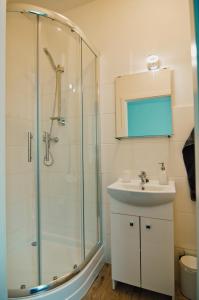 a bathroom with a shower and a sink at APARTHOTEL VÍTKOVICE in Ostrava