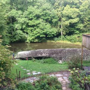 ブーンにあるSerene mountain getaway, Hot Tub, Sauna, Lake View, Swim, Fish, Hiking, EV pluginの庭の池上の石橋