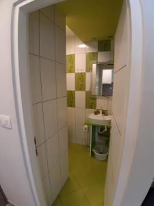 Kúpeľňa v ubytovaní Studio apartman F&L