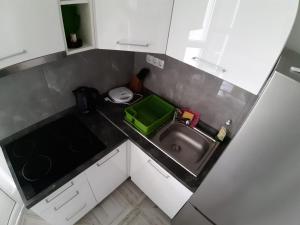 Kuchyňa alebo kuchynka v ubytovaní Studio apartman F&L