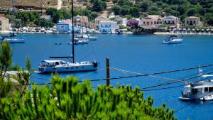 a group of boats are docked in a harbor at Irene Double Apartment Katoi in Symi