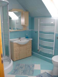 a bathroom with a sink and a toilet and a shower at Sunshine Apartment in Hajdúszoboszló