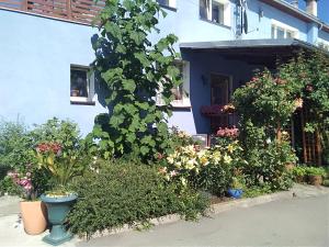 ストロニエ・シロンスキエにあるFinezja Wiedeńskaの花と植物が目の前にある建物