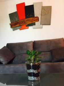 a potted plant on a table in front of a couch at enZamorarte in Zamora