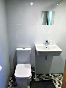 a bathroom with a toilet and a sink at St Awaries Studio in Rosslare