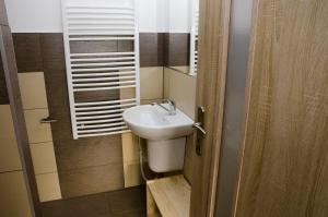 a small bathroom with a sink and a mirror at Ubytování Bor in Bor