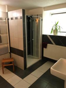 a bathroom with a shower and a toilet and a sink at Ubytování Bor in Bor