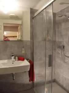 La salle de bains est pourvue d'un lavabo et d'une douche. dans l'établissement Ferienwohnung Hockert, à Waltersdorf