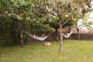 A garden outside Casa Borlas