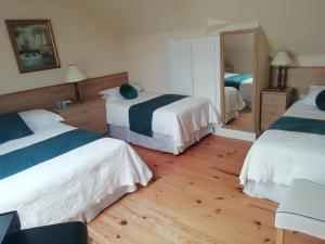 Corcoran's Lodge في فيرنس: غرفة فندقية بسريرين ومرآة
