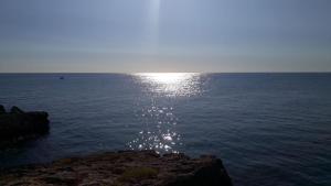 Gallery image of Tropical Palm Villa in Monopoli