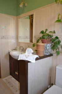 baño con lavabo, espejo y planta en El Rincón del Oteru en Llanes