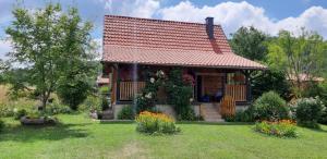 una pequeña casa con techo rojo en un patio en Holiday Home Brvnara, en Bajina Bašta