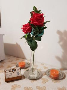 Fotografie z fotogalerie ubytování BovioBed B&B v destinaci Pescara