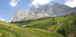 a person standing on a hill with mountains in the background at Ferienhaus & Ferienwohnung Wiñay Wayna Gotschna Blick Klosters in Klosters Serneus