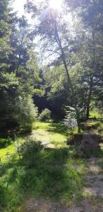 un campo verde con árboles, césped y roca en Gîte de la baerenbach, en Hazelbourg