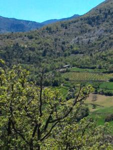 a view of a valley with trees and mountains at Ferme La Viste in La Roche-sur-le-Buis