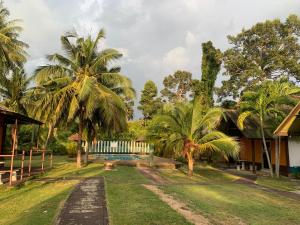 un patio resort con palmeras y piscina en Co Co House Samui, en Mae Nam