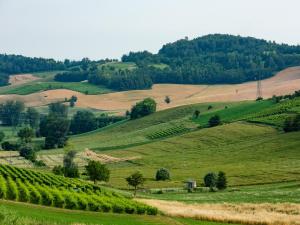 Φωτογραφία από το άλμπουμ του Casa Munfrà σε Cioccaro