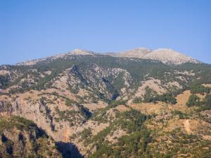 a view of a mountain with trees on it at To Spiti mas in Sougia