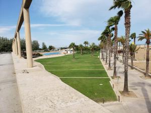 The swimming pool at or close to Can Joan