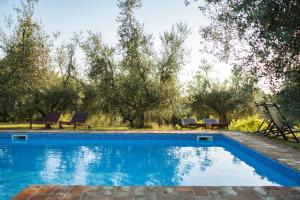 a swimming pool with chairs and trees in the background at Il Pignocco Country House in Santa Veneranda
