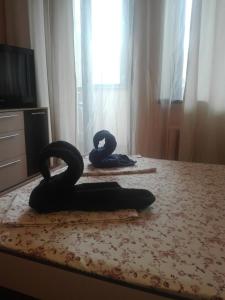 ザポリージャにあるApartment Lux Center Ukraina moll, near cafe Bosforの黒蛇が2頭寝台