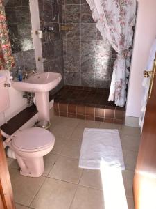 a bathroom with a toilet and a sink and a shower at Orchard Manor in Probus