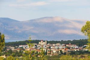 a small town with a mountain in the background at Studio in the Olive Trees ΓΑΛΑΞΙΔΙ in Galaxidi