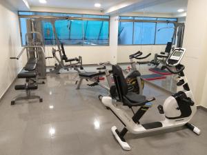 Phòng/tiện nghi tập thể dục tại Mojens Suites Santiago