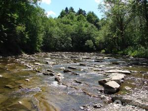 a river with rocks and trees on the side at Domek Rodzynek in Hoczew