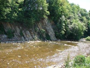 a river with a rocky shore with trees on the side at Domek Rodzynek in Hoczew