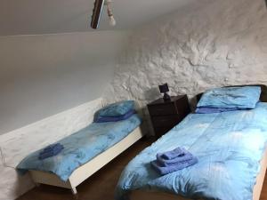 1 dormitorio con 2 camas individuales y sábanas azules en Johnny Joe's, en Achill