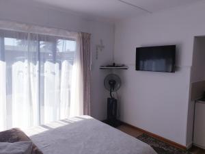 a bedroom with a bed and a large window at Sunflower Self-Catering in Walvis Bay
