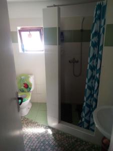 a bathroom with a toilet and a shower at Chalupa 73 in Desov