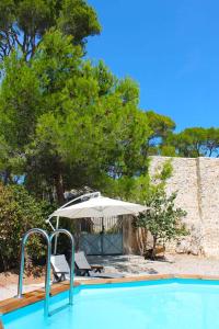 Πισίνα στο ή κοντά στο domaine de bessilles